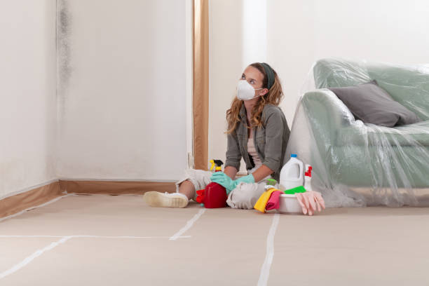 Reliable Basement Mold Remediation contractor in Linthicum Heights, MD by 24 Hour Mold Removal